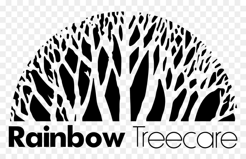 Rainbow Tree Care, HD Png Download - rainbow png transparent