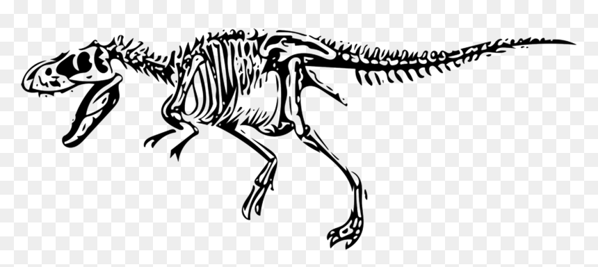 Tyrannosaurus, HD Png Download - dinosaur bones png