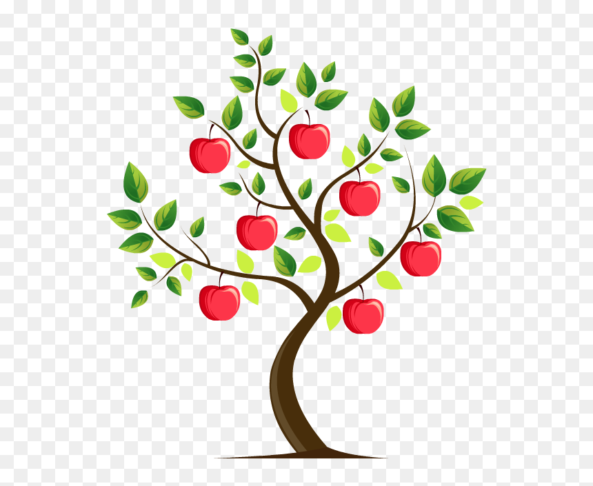 Mouse Over The "fruit - Berry, HD Png Download - tree from above png