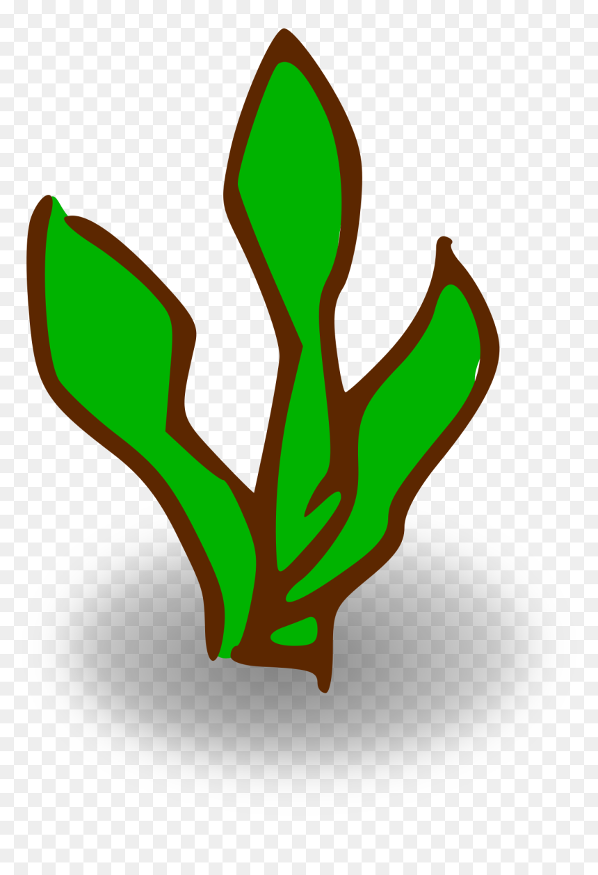 Kelp Forest Clip Arts - Kelp Clipart, HD Png Download - kelp png