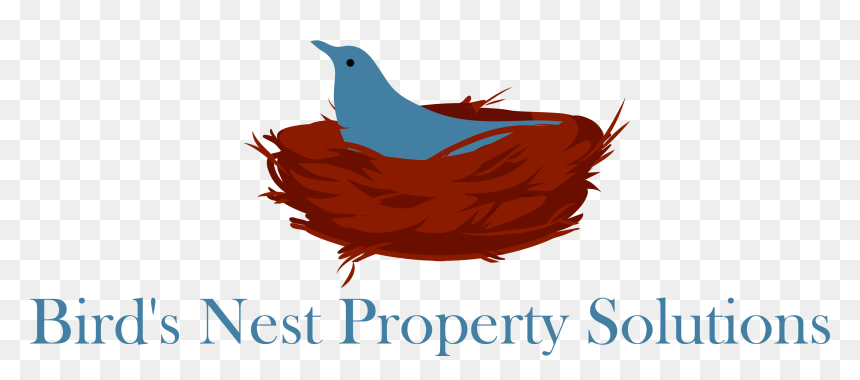 Association Trends, HD Png Download - bird nest png