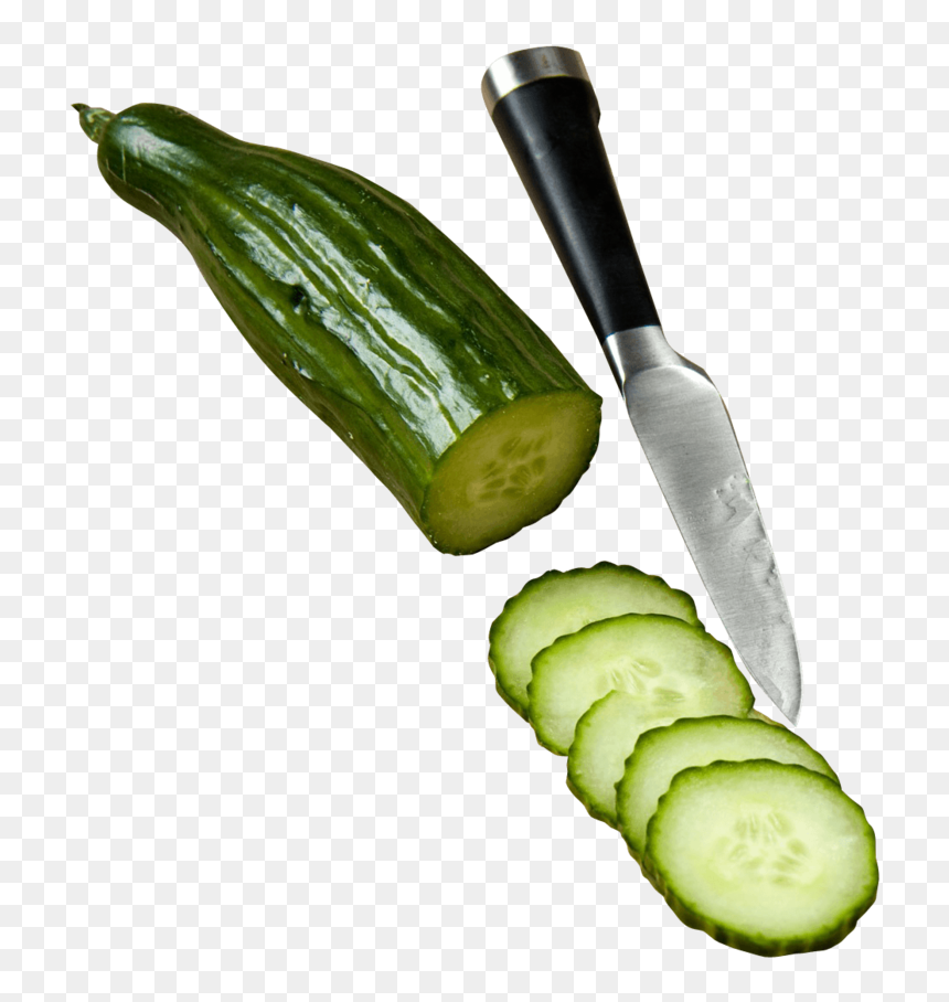 Cucumber-slices - خيار مقطع, HD Png Download - cucumber slice png