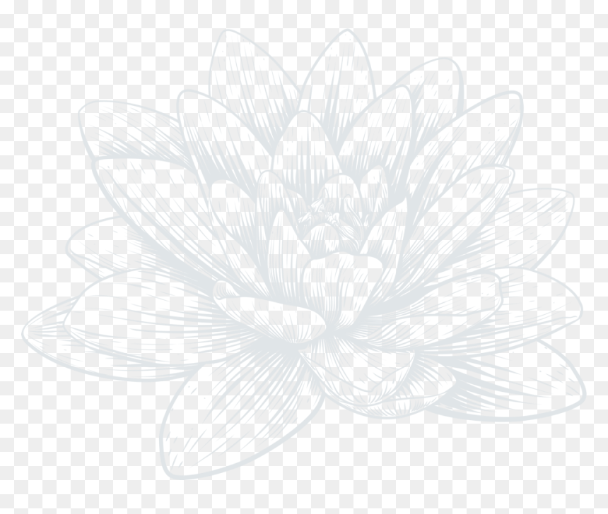 Sacred Lotus, HD Png Download - lilly pad png
