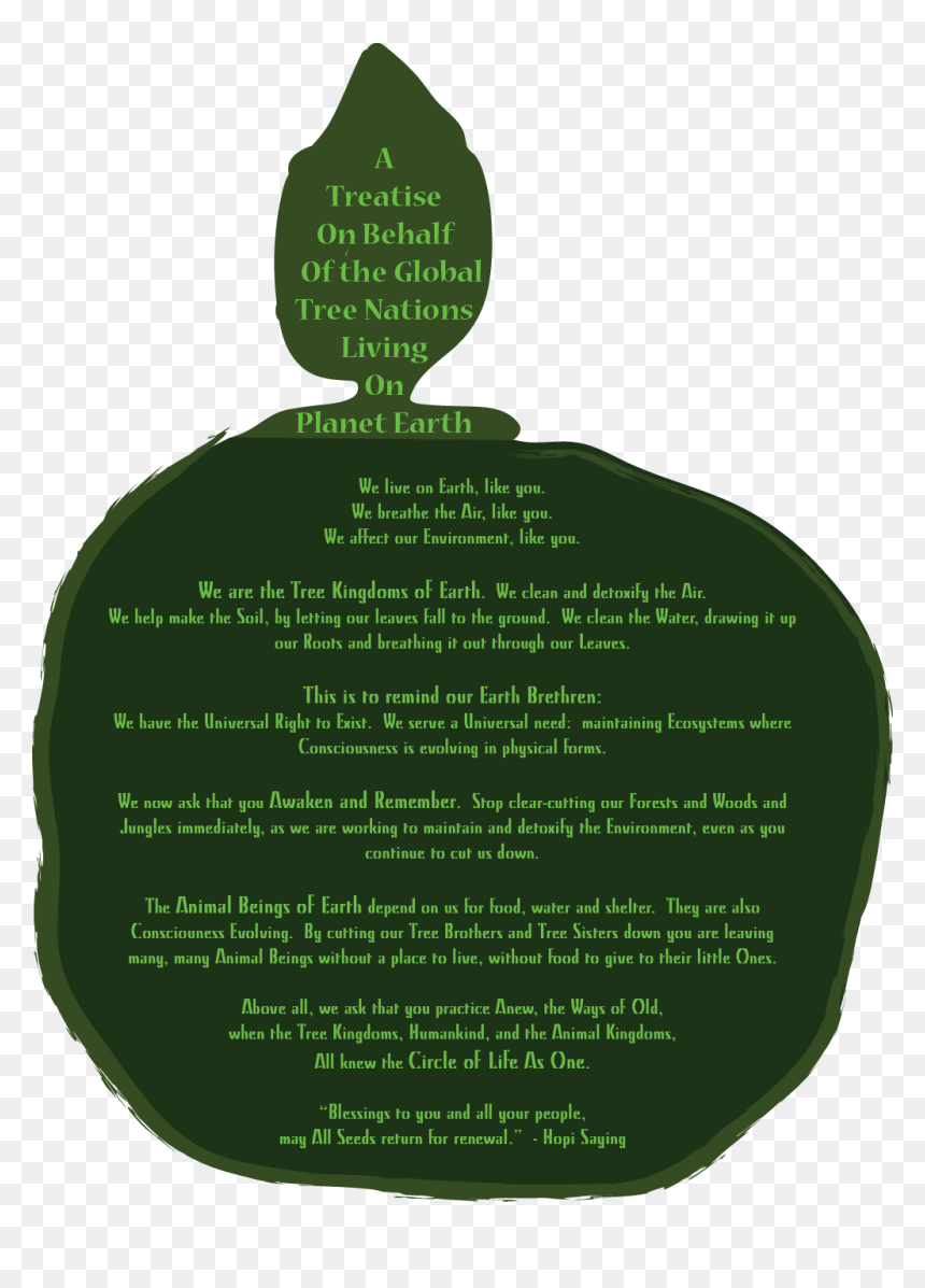 Tree From Above - Illustration, HD Png Download - tree from above png