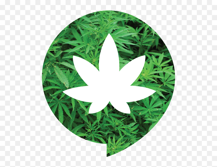 Smoke Io, Png Download - Smoke Network, Transparent Png - puff of smoke png
