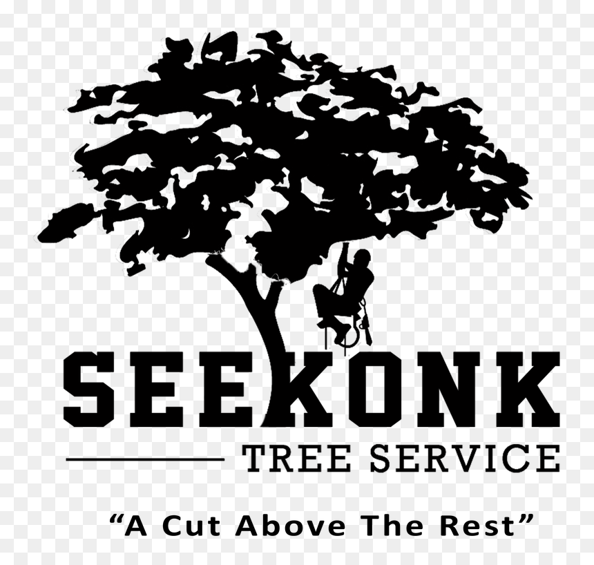 Tree Service Company Logo , Png Download - Poster, Transparent Png - tree from above png
