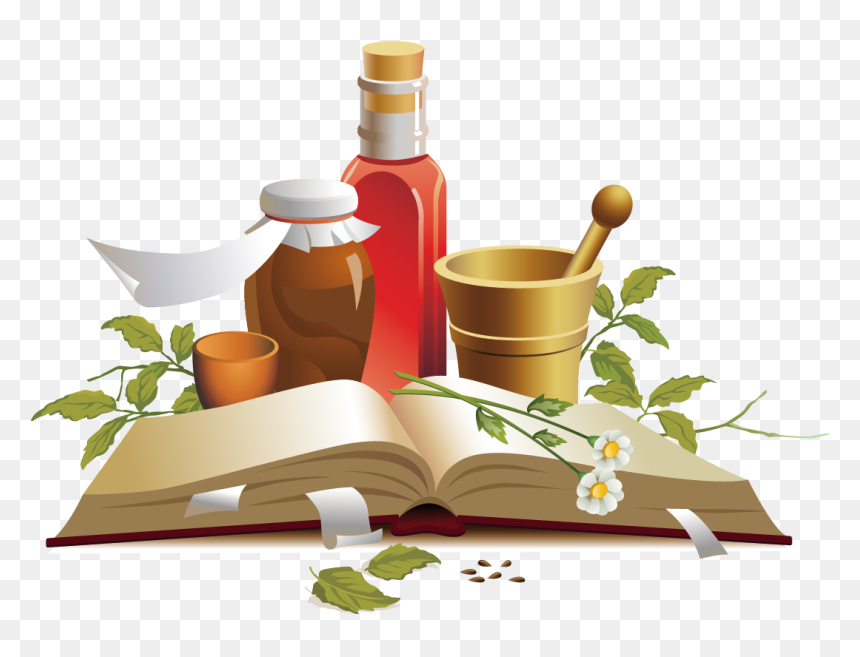 As Stated Above, Human Body Starts Accumulating Toxins - Alternative Medicine Clipart, HD Png Download - tree from above png