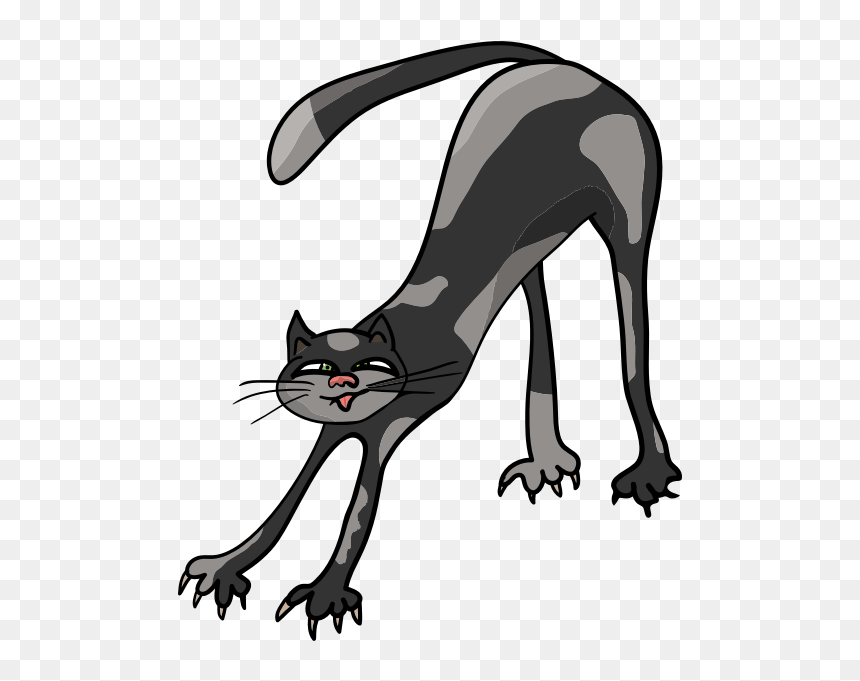 Cat Stretching - Siamese Cat, HD Png Download - funny cat png