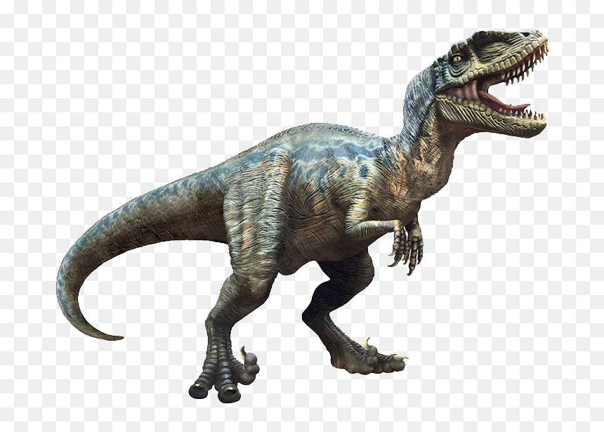 Illustration By Brooke Safken - Velociraptor, HD Png Download - dinosaur bones png