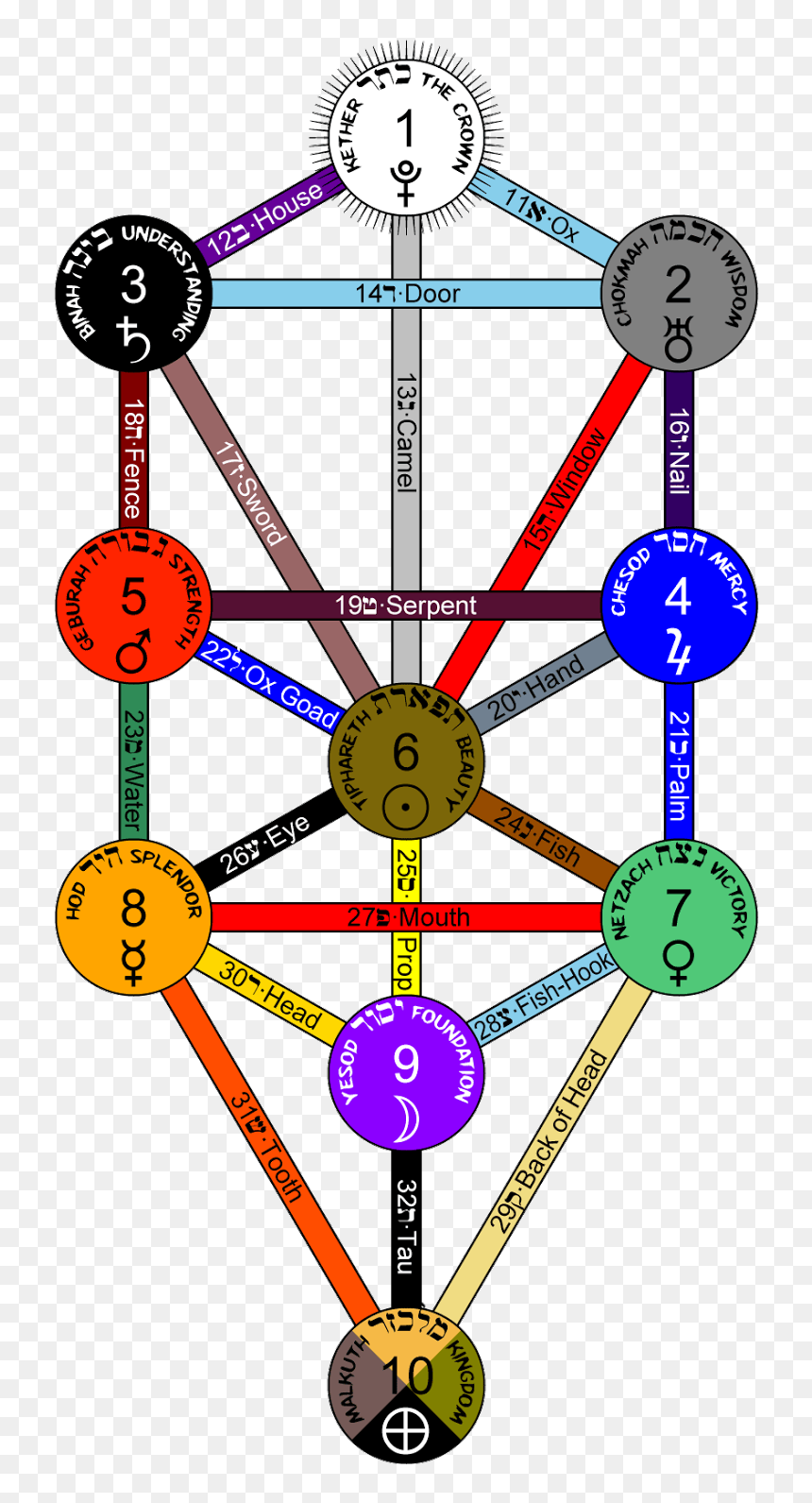 Above Picture Has Tree Of Life And Its Overall Connections - Tree Of Life Major Arcana, HD Png Download - tree from above png