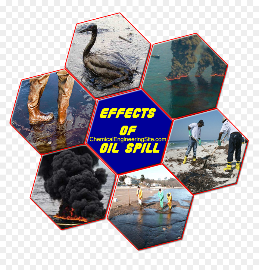 Oil Spill - Oil Spill Gulf Of Mexico, HD Png Download - spill png