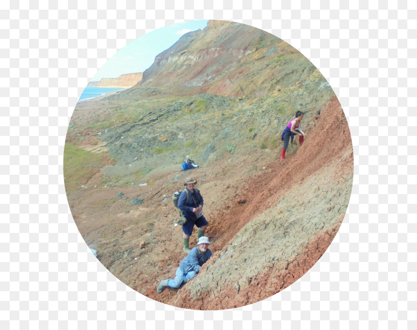 Dog Hiking, HD Png Download - dinosaur bones png