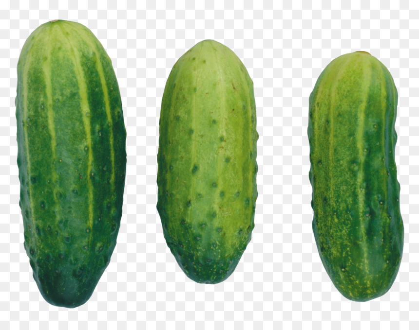 Cucumber Png Image - Cucumber, Transparent Png - cucumber slice png
