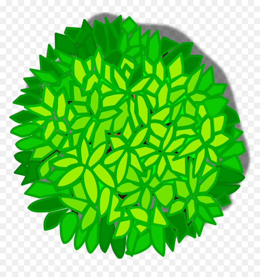 Tree Top View Clipart, HD Png Download - trees plan png