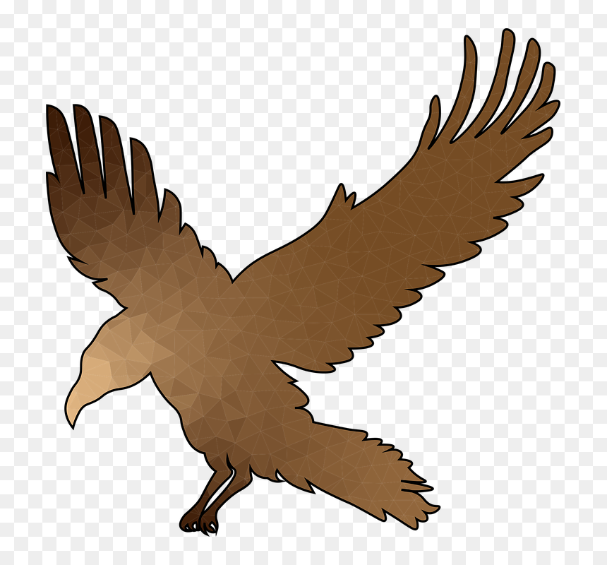 Common Raven, HD Png Download - flying crow png