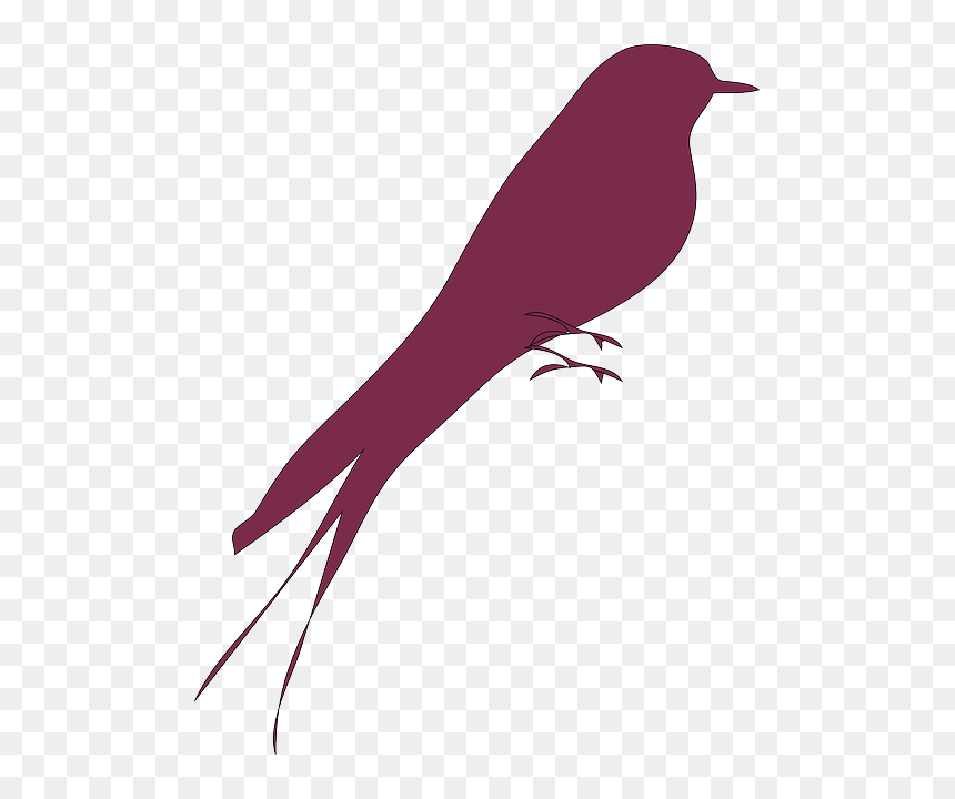 Clip Art Lovebird Portable Network Graphics Image - Love Bird Silhouette Vector, HD Png Download - love birds png