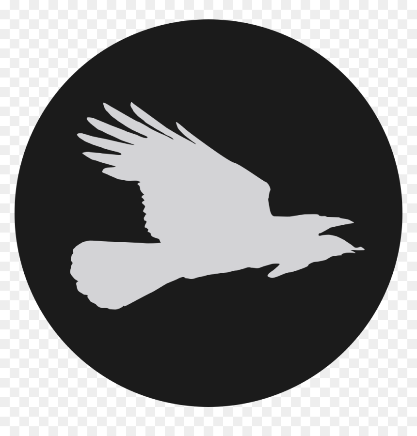 Flying Crow Press - Twitter Logo Black Circle, HD Png Download - flying crow png