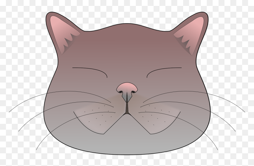 Cartoon, HD Png Download - funny cat png