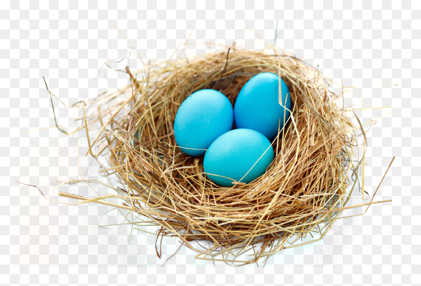 Nest Png - Transparent Background Birds Nest Clipart Transparent, Png Download - hole in ground png