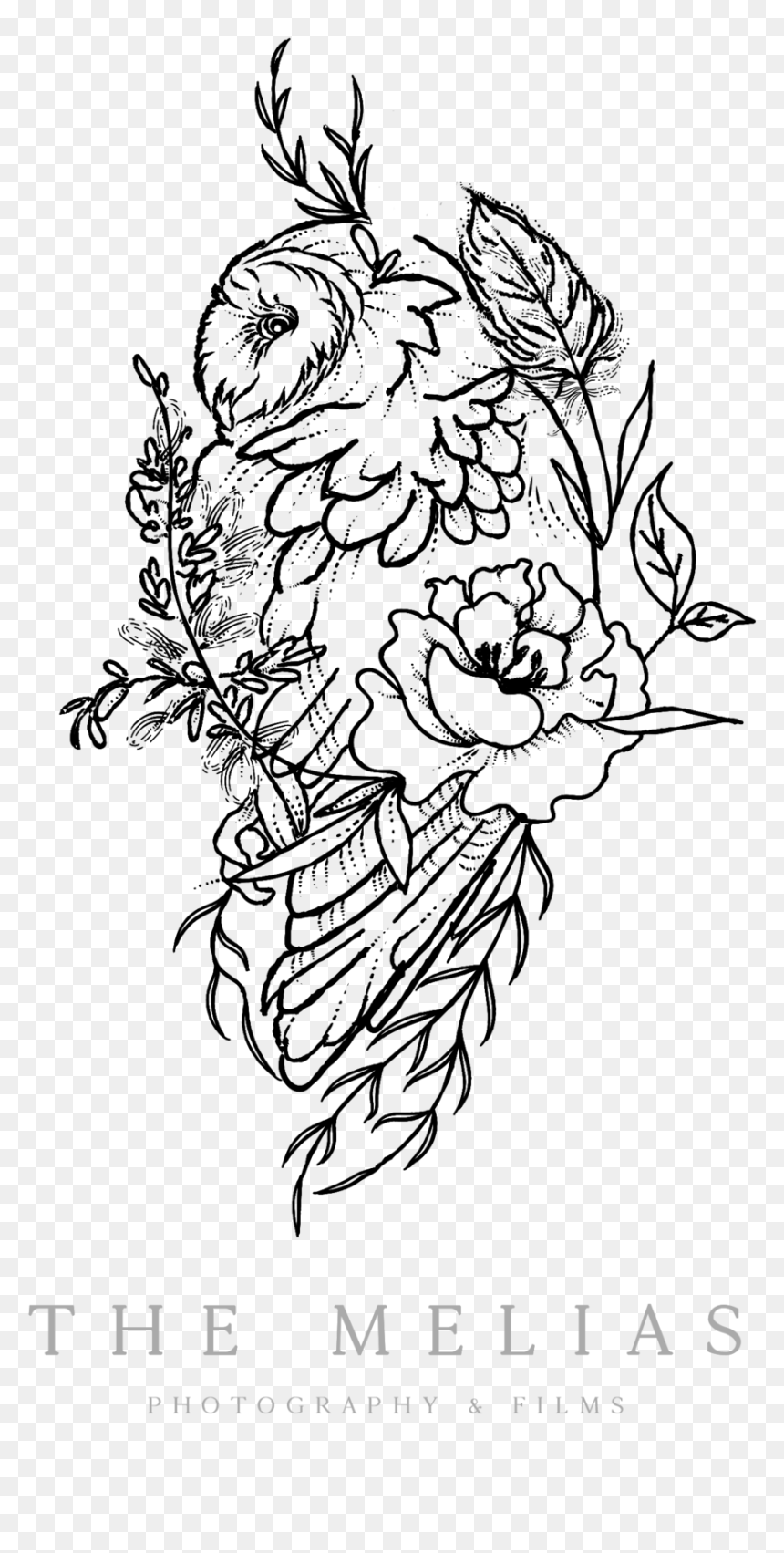 Line Art, HD Png Download - vhs filter png