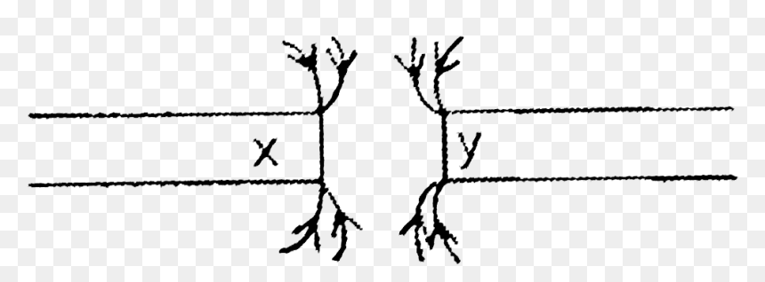 Illustration, HD Png Download - tree from above png
