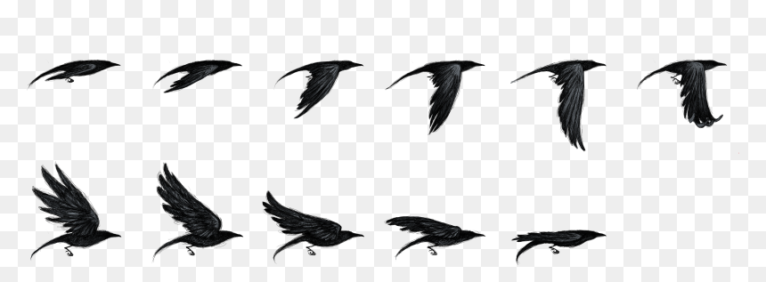 Vaux S Swift, HD Png Download - flying crow png