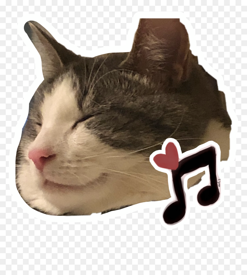 #stormy #stormythecat #confused #stickers #theme #cat - Cat Grabs Treat, HD Png Download - funny cat png