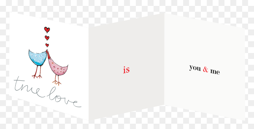Transparent Love Birds Png - Greater Flamingo, Png Download - love birds png