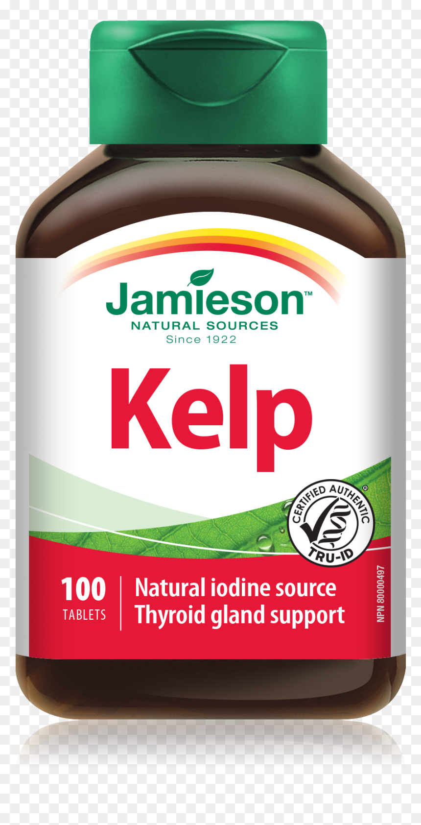 Jamieson Lutein, HD Png Download - kelp png