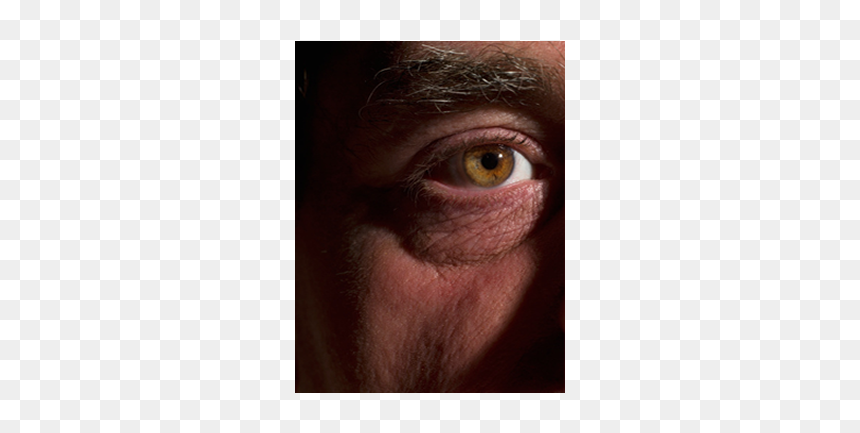 Dry Eyes - Macaque, HD Png Download - brown eyes png