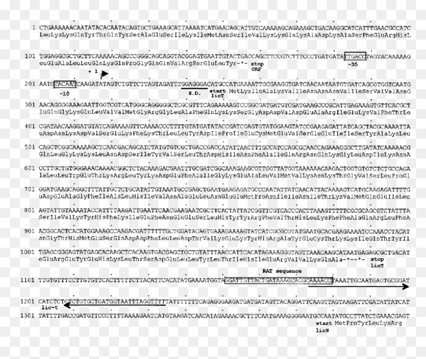 Document, HD Png Download - terminator face png