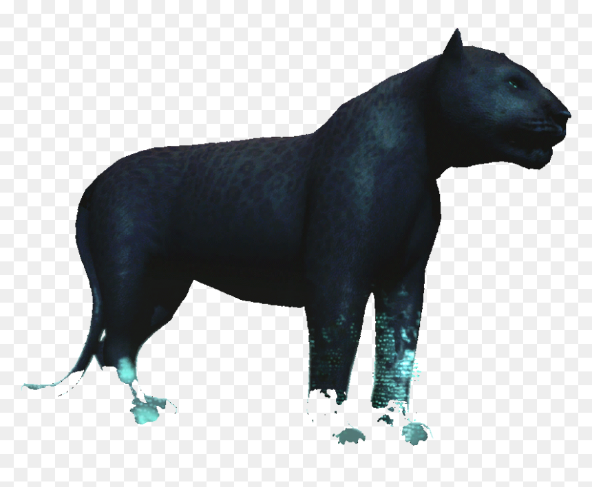 Illustration , Png Download - Bear, Transparent Png - black jaguar png