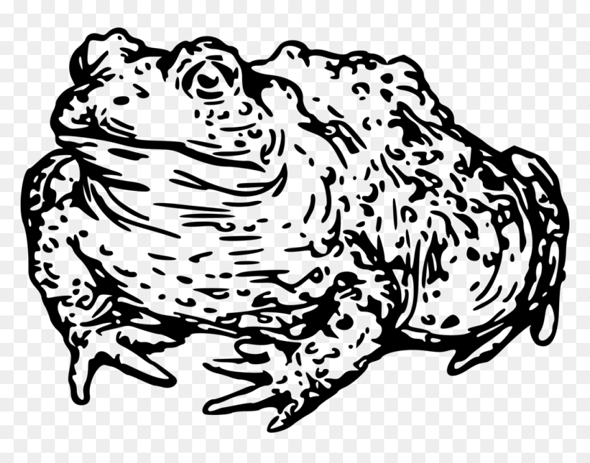 Transparent Black Jaguar Png - Toad Black And White Clip Art, Png Download - black jaguar png