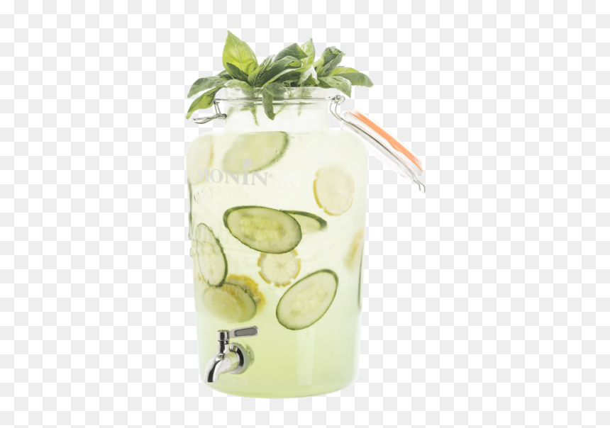 Fizz, HD Png Download - cucumber slice png