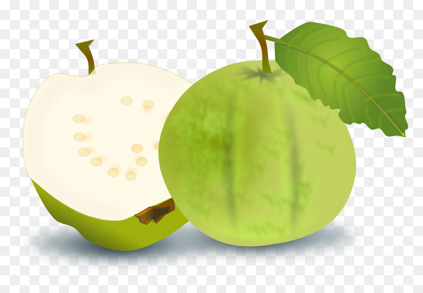 Guava Png Images 600 X , Png Download - Clipart Guava, Transparent Png - guava png