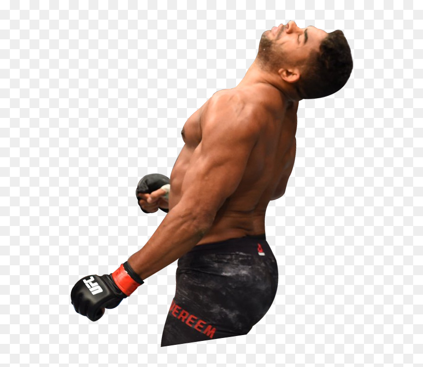 Weight Training, Hd Png Download - Professional Boxing, Transparent Png - boxing belt png