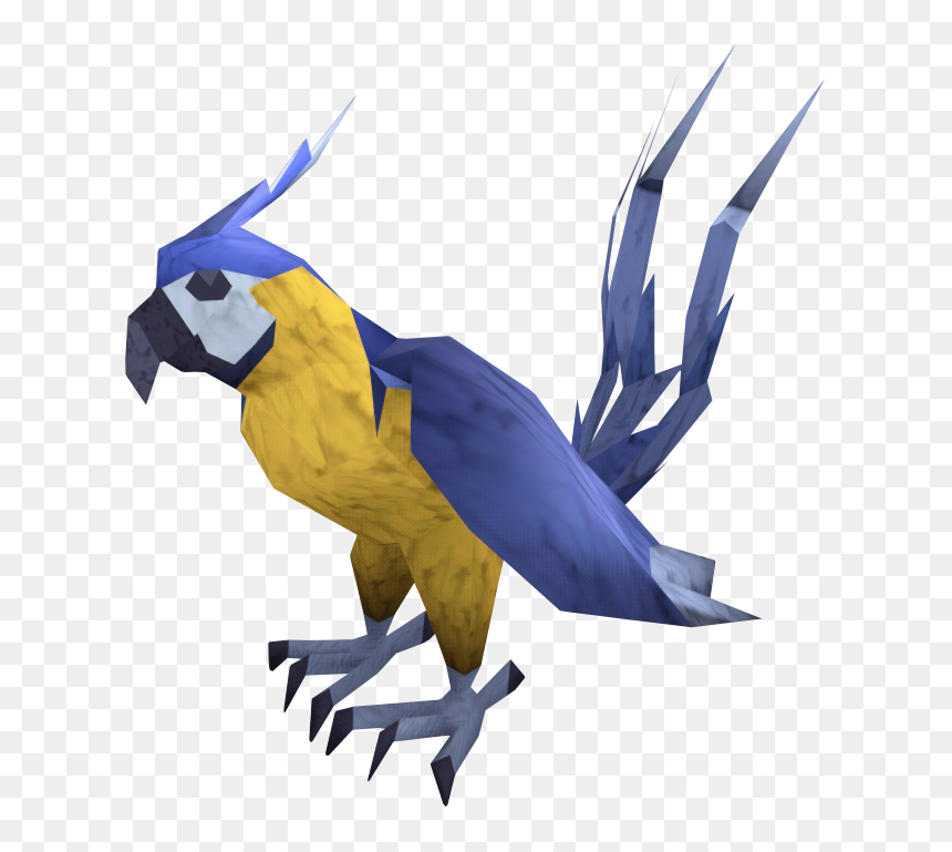 Macaw, HD Png Download - macaw png