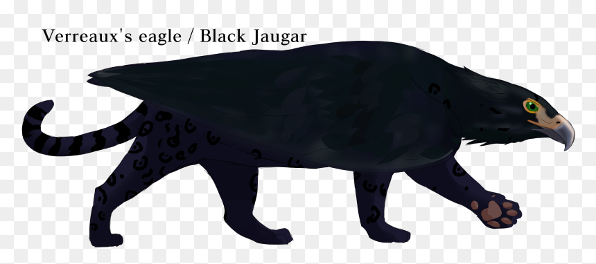 Mongoose, HD Png Download - black jaguar png