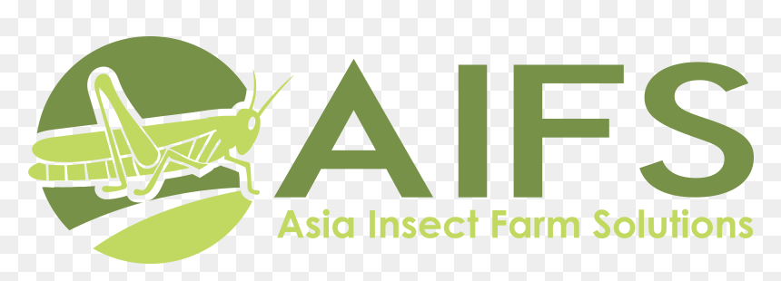 Aifs - Graphic Design, HD Png Download - cricket bug png
