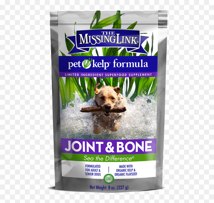 The Missing Link Pet Kelp Formula Joint & Bone Formula - The Missing Link Pet Kelp Formula, HD Png Download - kelp png