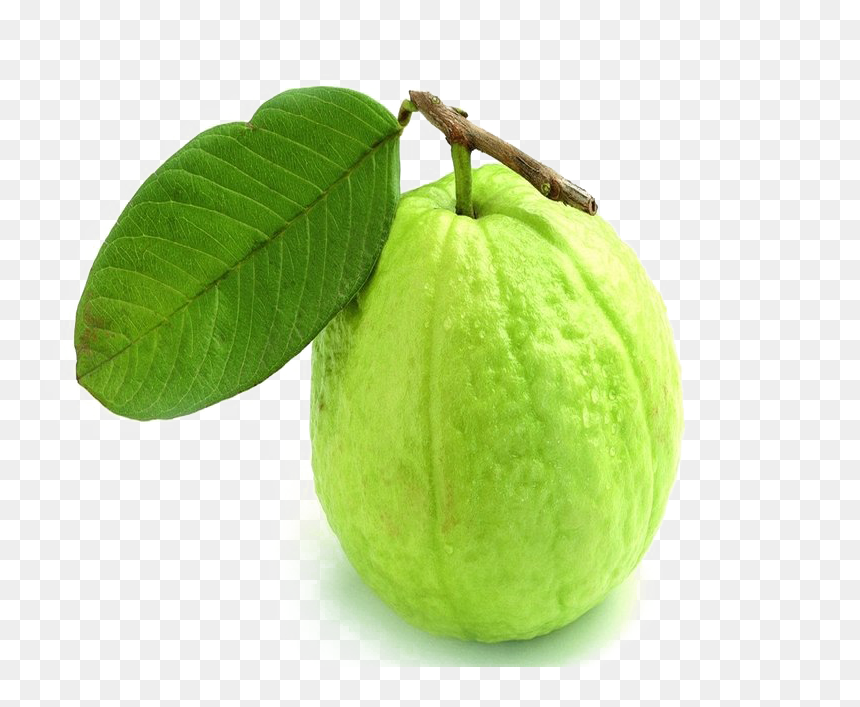 Green Guava Png Transparent Image - Guava Image Of Fruits, Png Download - guava png
