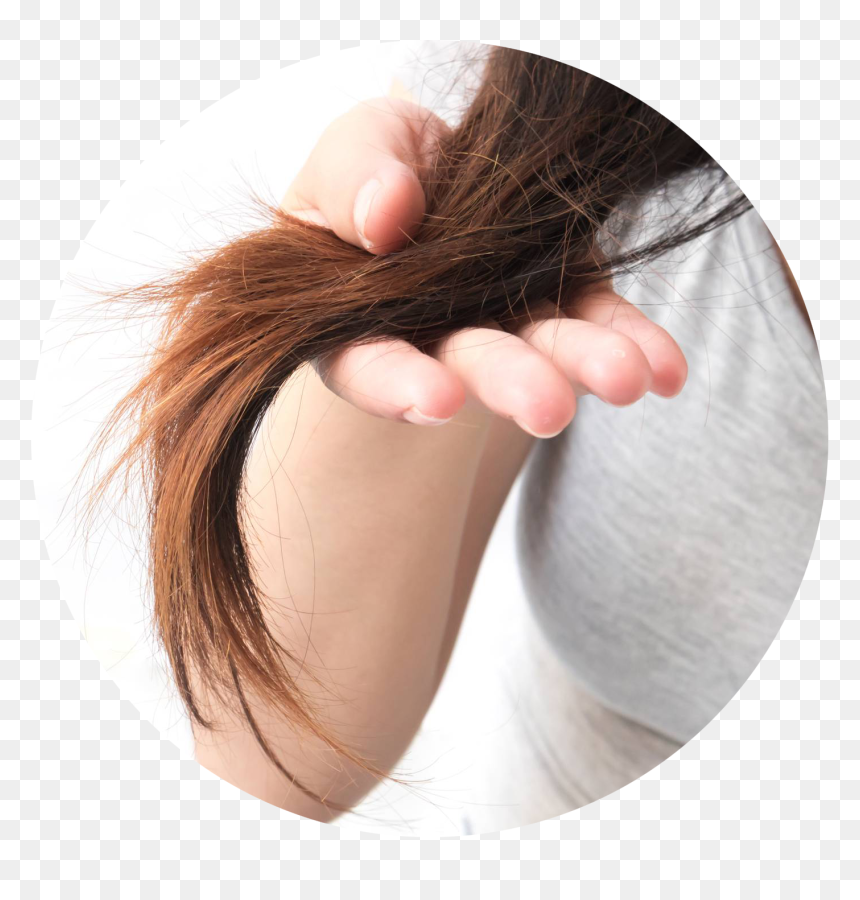 Hair Damage Png, Transparent Png - hair strand png