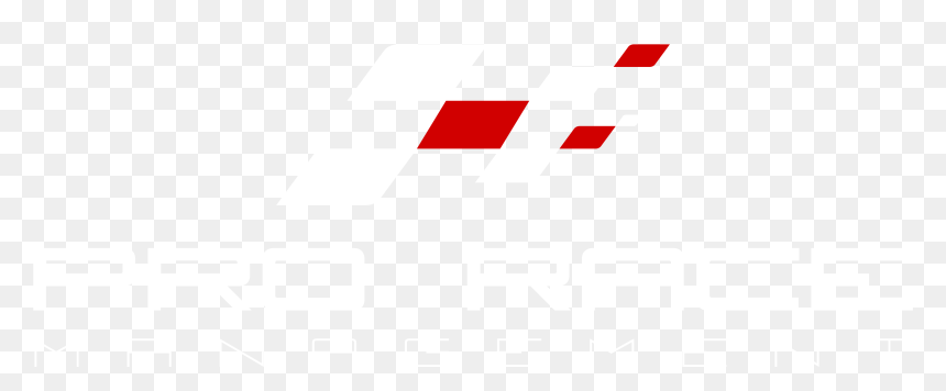 Prorace Logo White-01 - Prorace Logo, HD Png Download - white twitter icon png