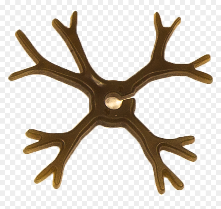 Wood, HD Png Download - kelp png