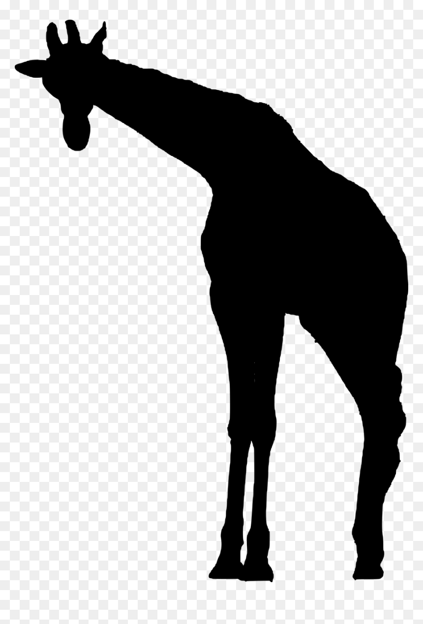African Animal Silhouette Giraffe, HD Png Download - giraffe silhouette png