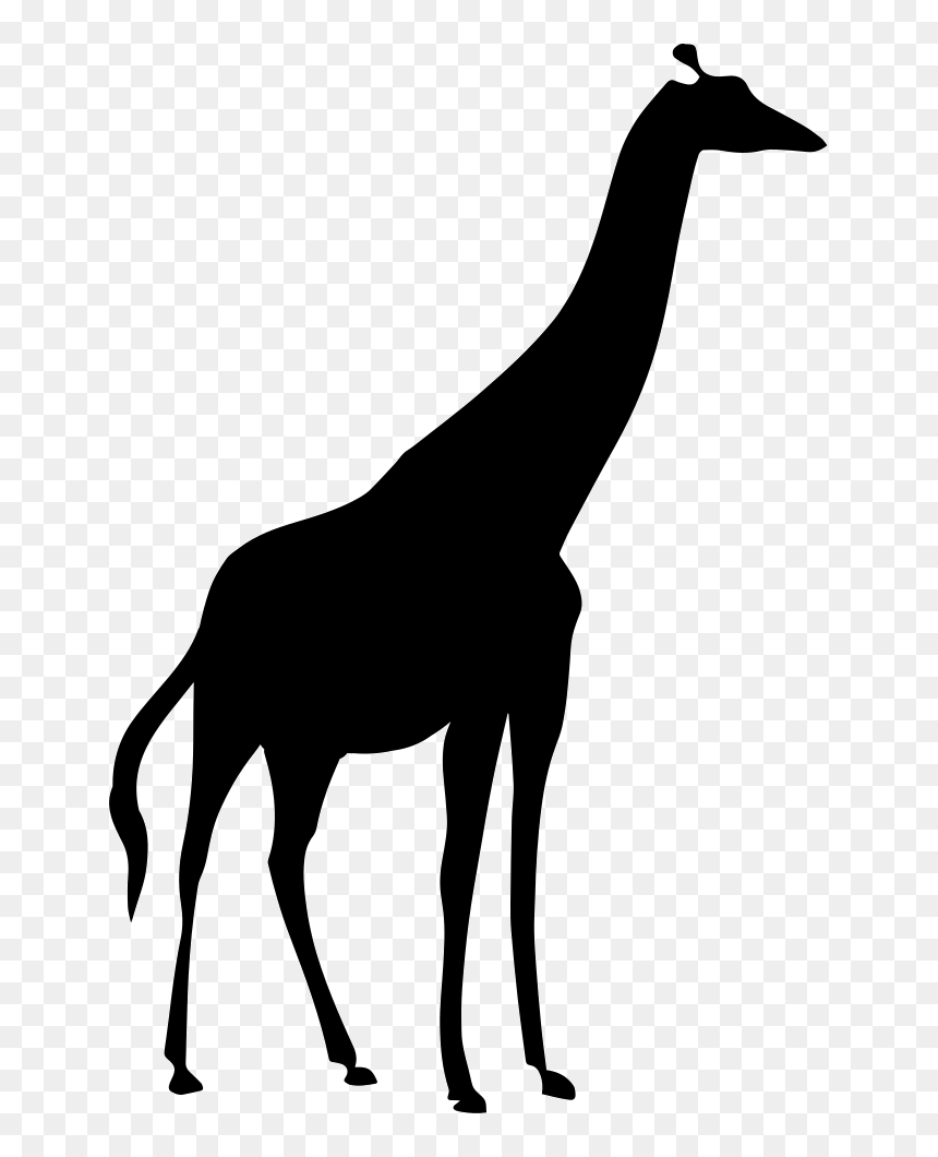 Northern Giraffe Image Silhouette Portable Network - Giraffe Shape, HD Png Download - giraffe silhouette png