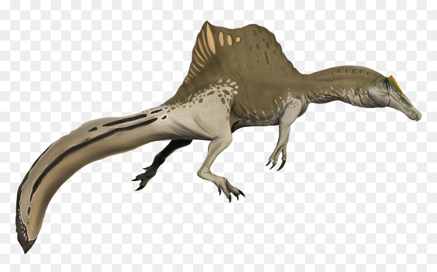 Spinosaurus New Tail 2020, HD Png Download - claw slash png