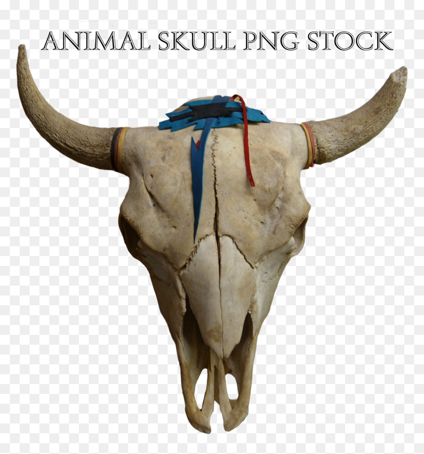 Thumb Image - Skull Animal Png, Transparent Png - animal skull png