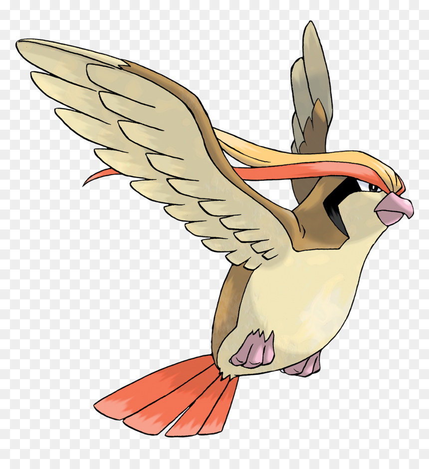 Pidgeot Pokemon, HD Png Download - pokemon png images