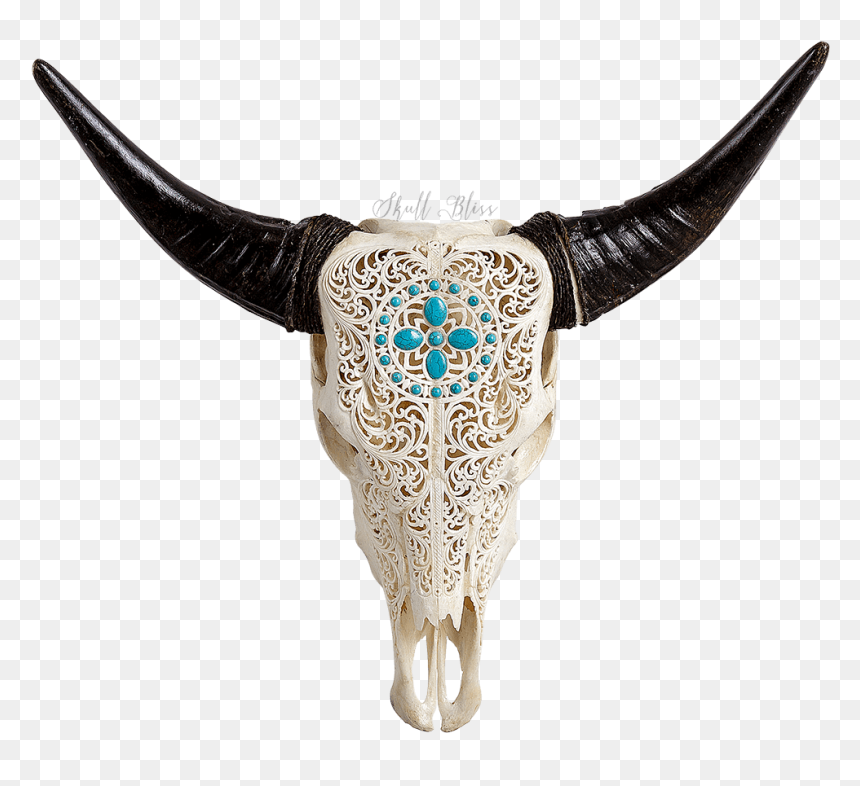 Cattle Skull Xl Horns Animal, HD Png Download - animal skull png